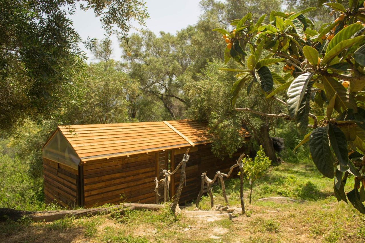 Olive Grove Oasis No4 Lodge *
