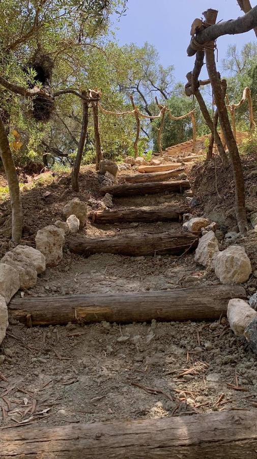 Olive Grove Oasis No4 Lodge *